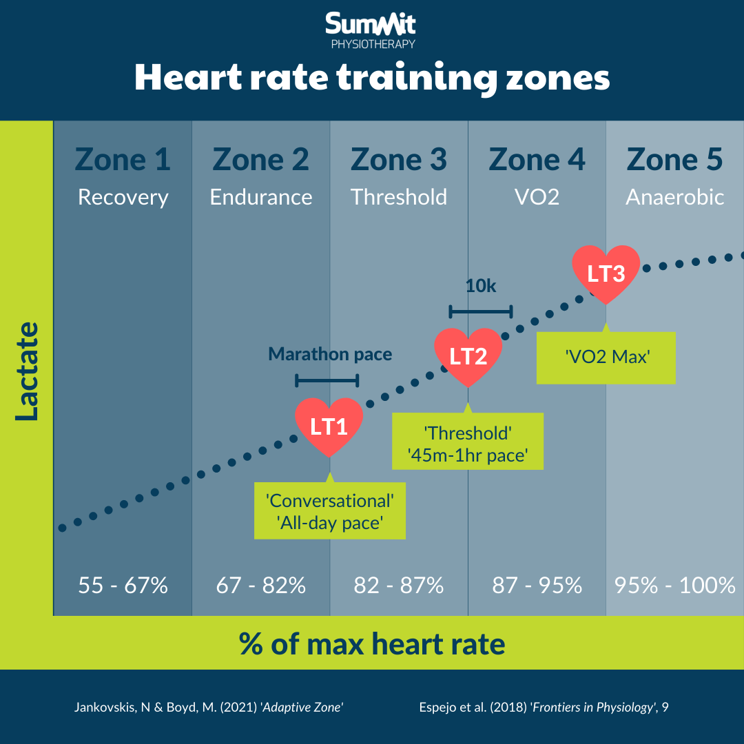 heart rate zones